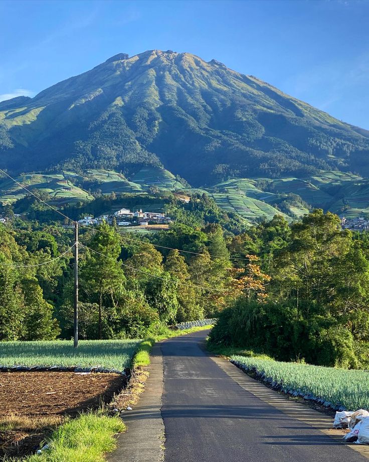 Rekomendasi Destinasi Wisata Favorit di Yogyakarta yang Wajib Dikunjungi